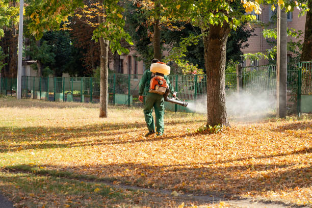 Pest Control Cost in Hurt, VA