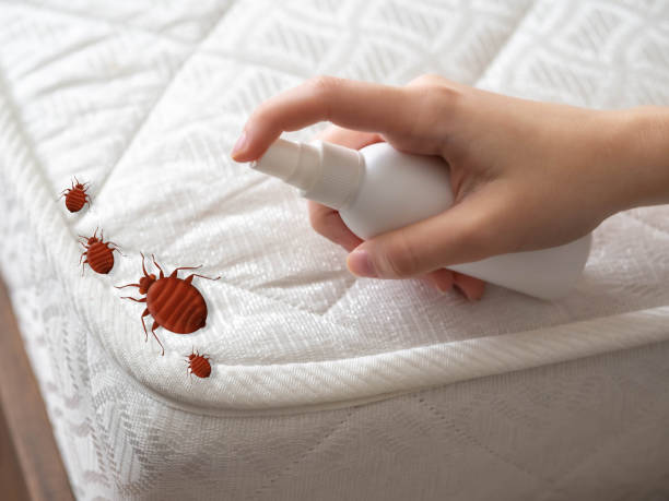 Best Residential Pest Control  in Hurt, VA