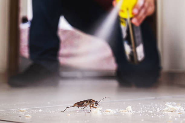 Best Exterminator Services  in Hurt, VA